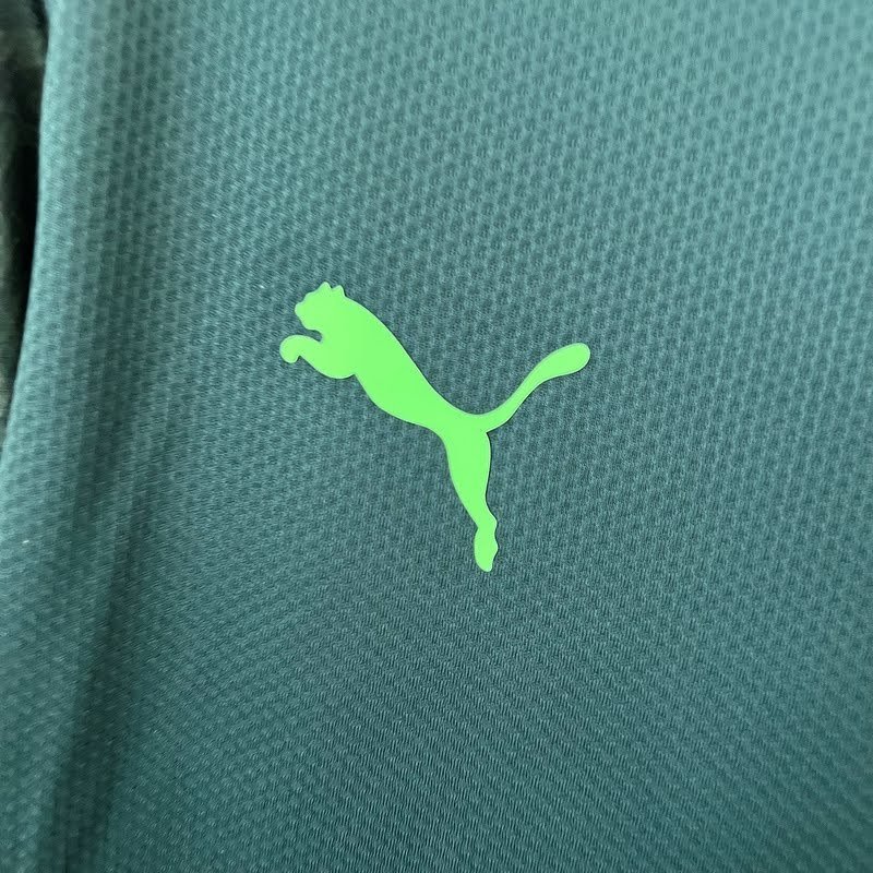 Camisa Palmeiras III 2020/21 – Masculina – Versão Torcedor - Imagem 4