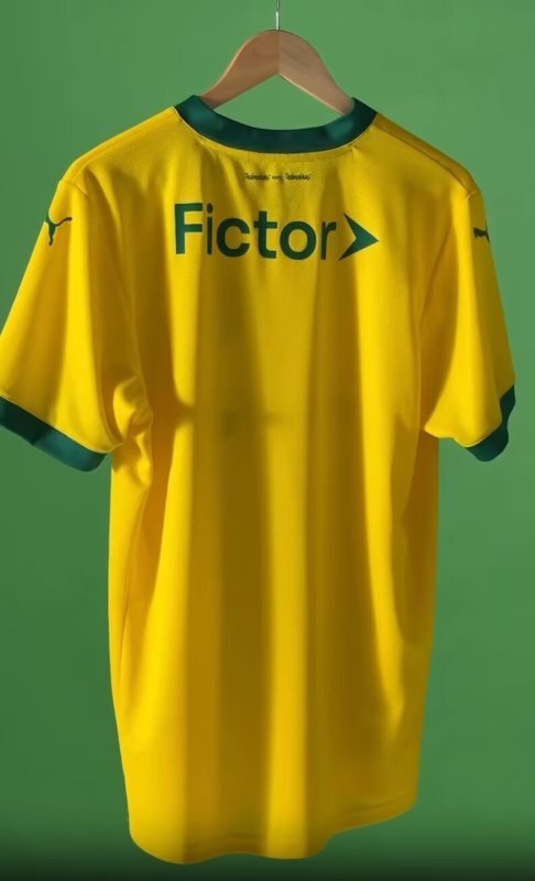 Camisa Palmeiras II 2025/26 – Masculina – Versão Jogador - Imagem 6