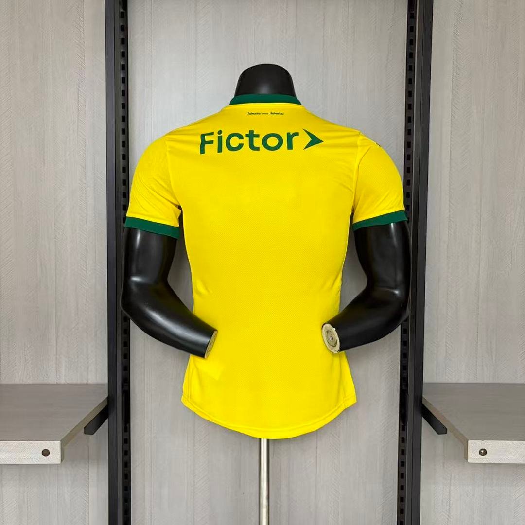Camisa Palmeiras II 2025/26 – Masculina – Versão Jogador - Imagem 2