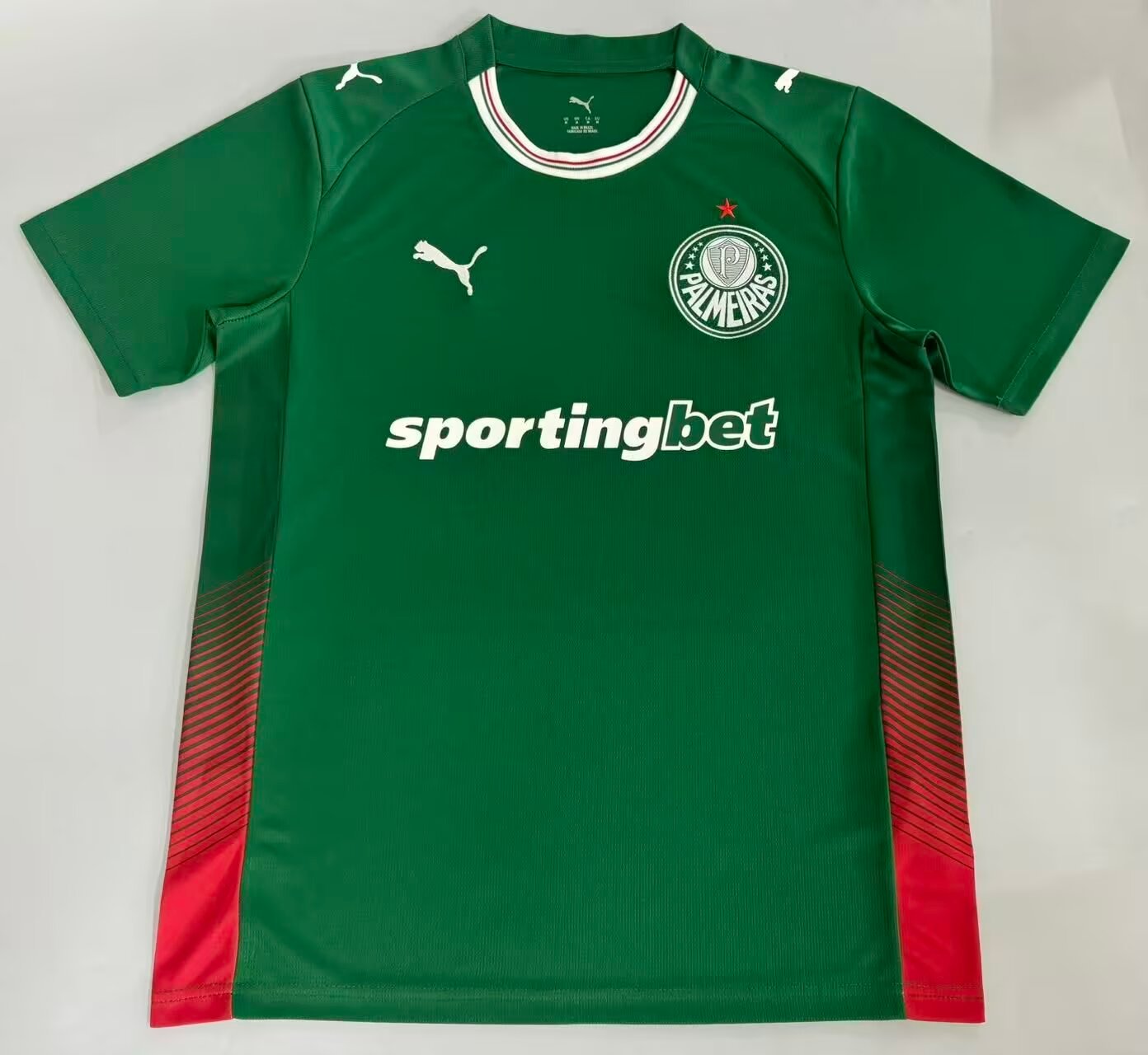Camisa Palmeiras I 2026/27 – Masculina – Versão Torcedor - Imagem 5
