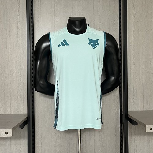 Vest 2025/26 Cruzeiro Training Jersey S-XXXXL